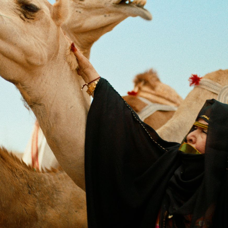 Respect for wildlife