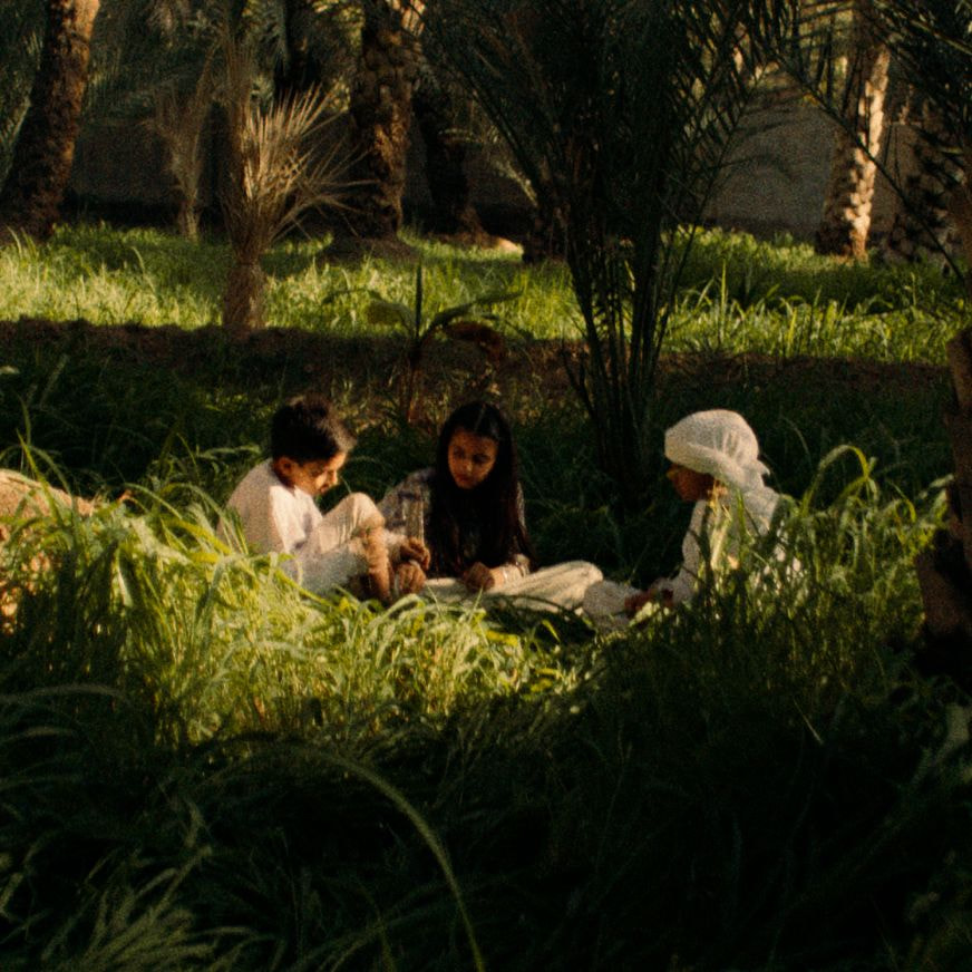 Versatility of date palms